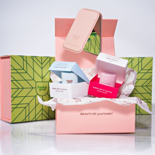 Santa's Special Delivery (Berry)